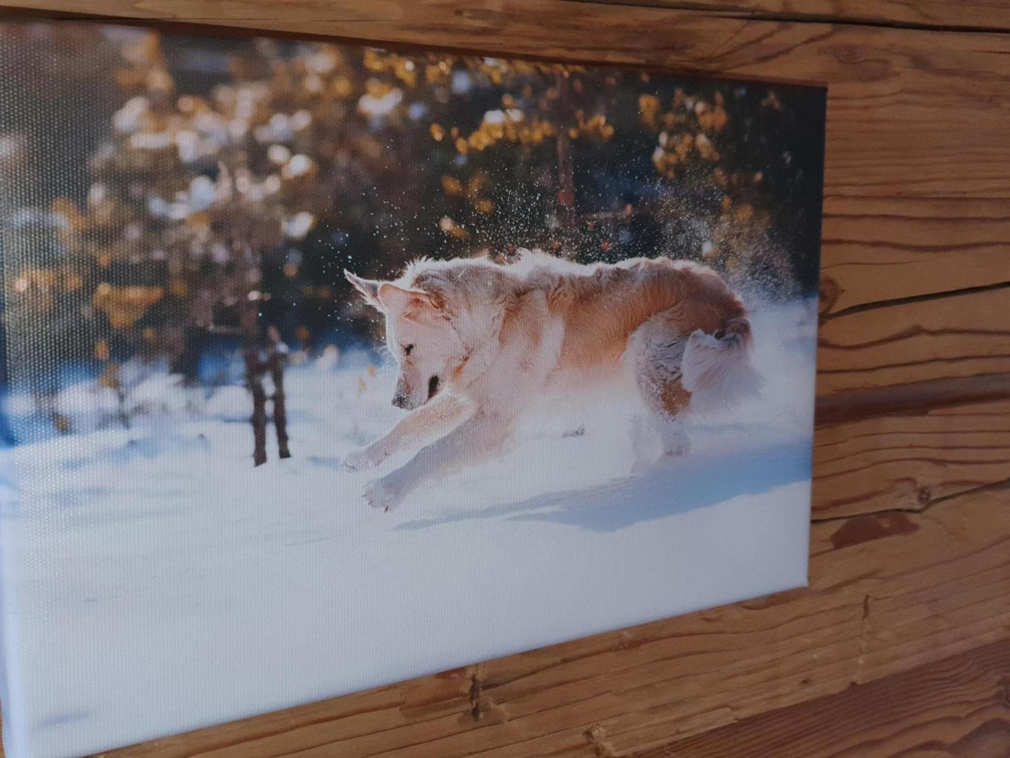 Tauern Juwel Top 6 ホラースバッハ・イム・ピンツガウ エクステリア 写真